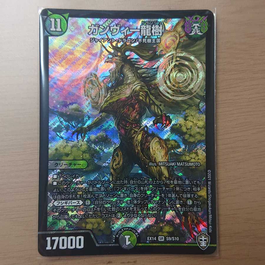 ガンヴィー龍樹