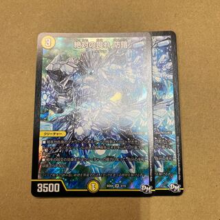 絶対の畏れ 防鎧　2枚