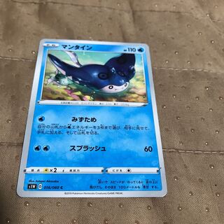 mg 8-12 koko my tain