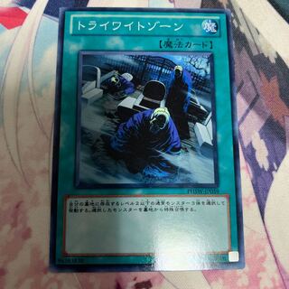 トライワイトゾーン