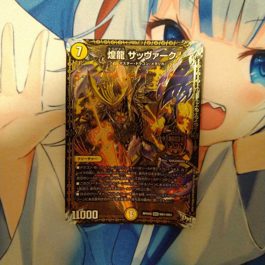 煌龍 サッヴァーク