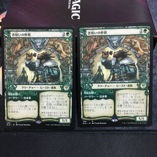 恋煩いの野獣　ショーケース2枚セット