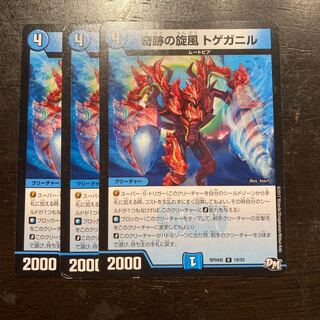 Miraculous Whirlwind Spiny Ganyl