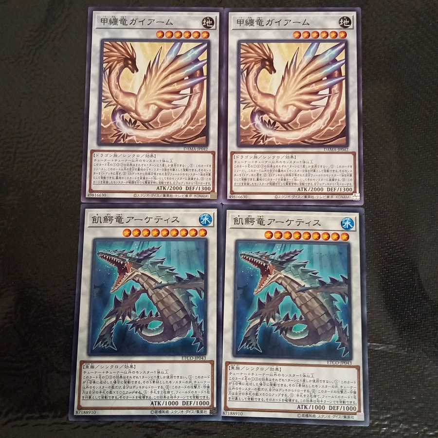 Two types of synchronized dragons [Guyarm & Arketis