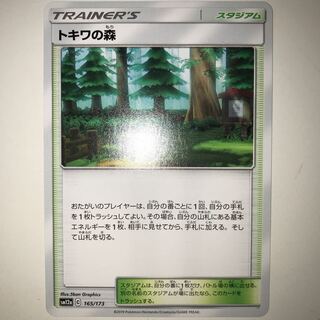 トキワの森 SM12a C 165/173