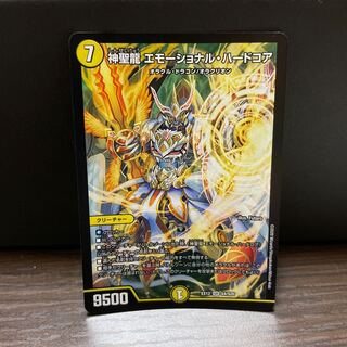 神聖龍 エモーショナル・ハードコア