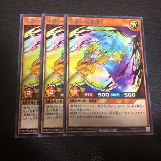 守護の竜魔導士 3枚セット