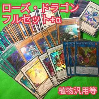 遊戯王　ローズ・ドラゴン　デッキパーツ　フルセット+α　植物族汎用等 1枚