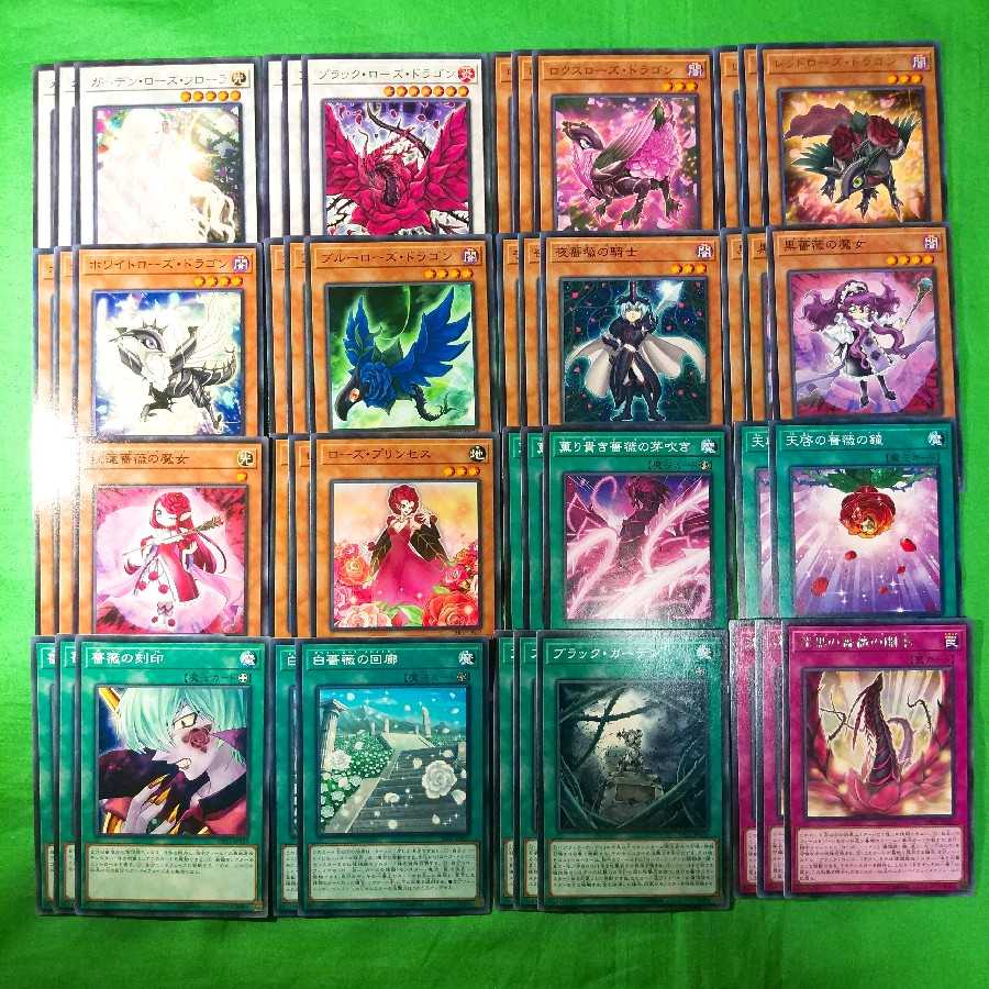 遊戯王 ローズ・ドラゴン デッキパーツ フルセット+α 植物族汎用
