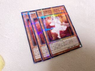 生きる偲びのシルキィ　ノーマル　ノーパラ　3枚♡おまけ付き♡