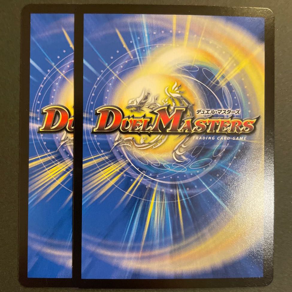 傾国美女 ファムファタァル VR 2枚セット