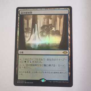 MTG Waterlogged Grove/Waterlogged Grove FOIL