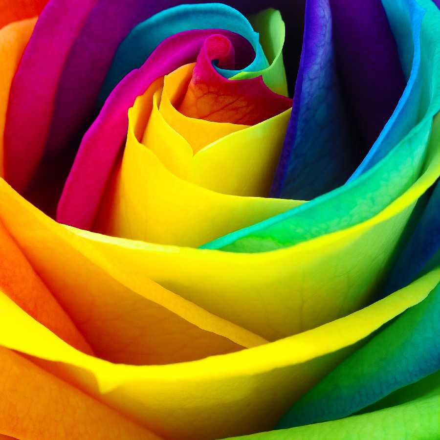 専用出品　灰流うらら　スリーブ