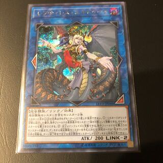 レプティレス・エキドゥーナ シク