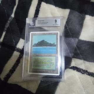 Tropical Island

 イタリア語