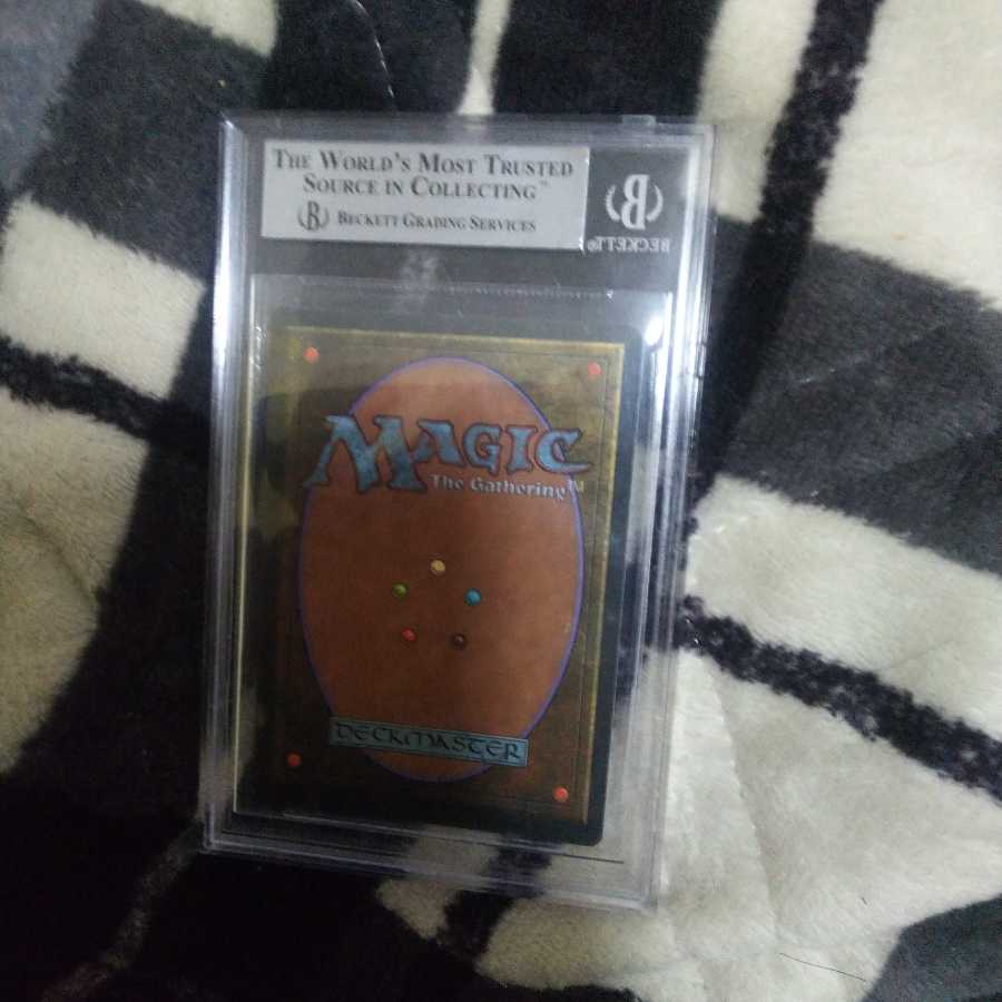 Tropical Island
イタリア語