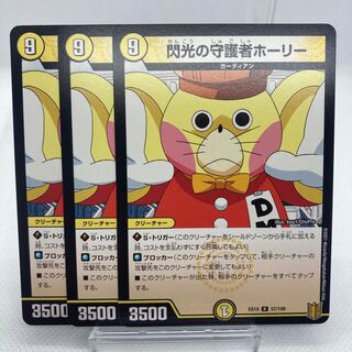 閃光の守護者ホーリー