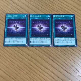 超戦士の萌芽 ノーマル　3枚セット