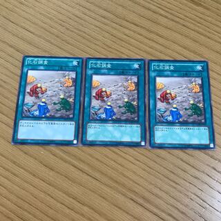 化石調査 ノーマル　3枚セット