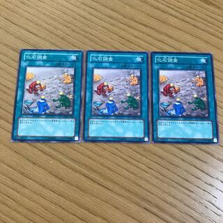 化石調査　ノーマル　3枚セット