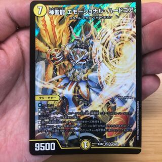 神聖龍 エモーショナル・ハードコア SR