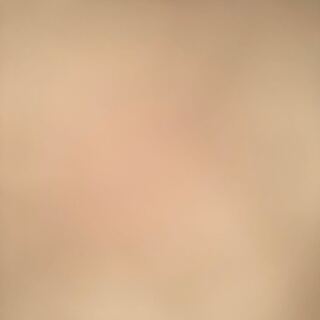 専用 ガブリアスギラティナ