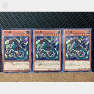 【ぽぽたん】遊戯王 843 幻木龍 3枚 ノーマル