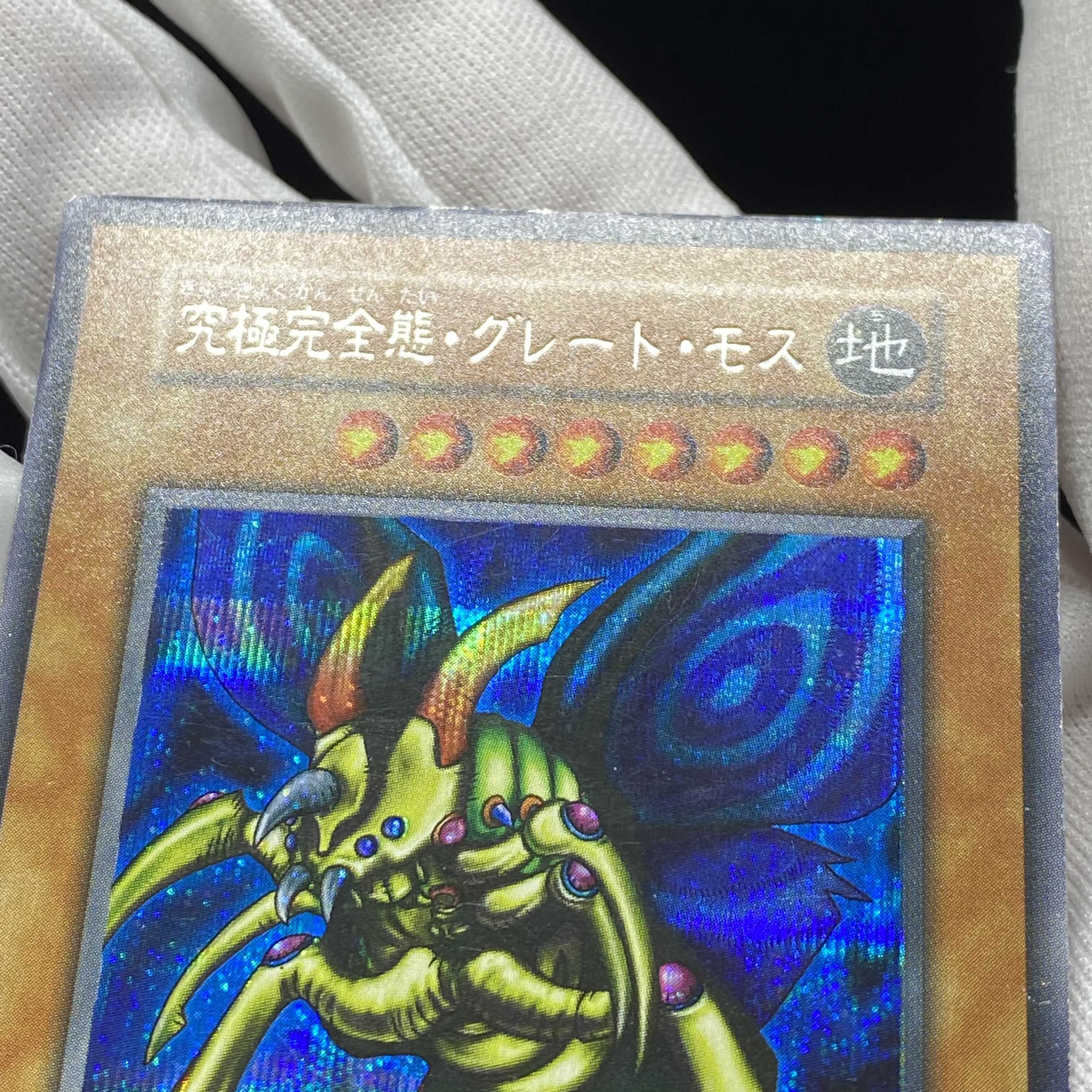 [magi special price] Perfectly Ultimate Great Moth Secret Early