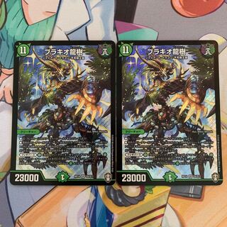 ブラキオ龍樹　2枚
