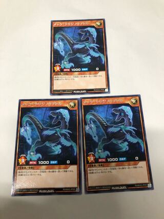 ラッシュ様専用