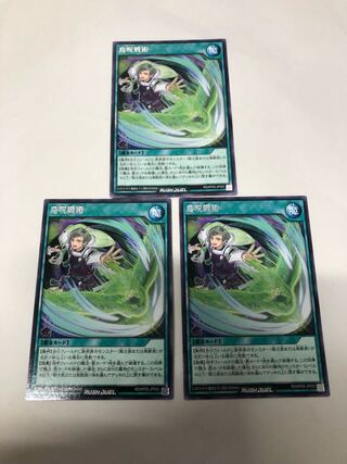 鳥呪戦術3枚セット