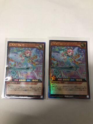 CAN RE:D2枚セット