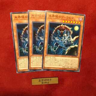 未界域のワーウルフ ノーマル