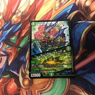 摩破目 ナトゥーラトプス