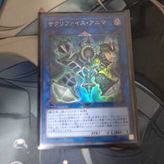 サクリファイス・アニマ