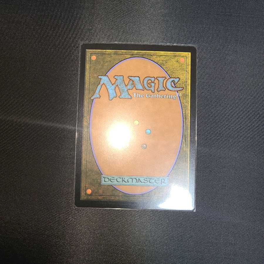 虎の影、百合子　ジャッジ褒賞