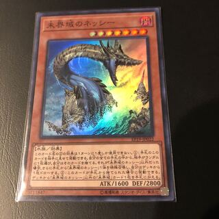 未界域のネッシー②