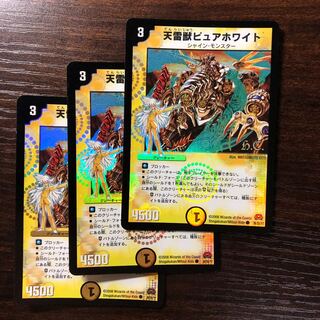 天雷獣ピュアホワイト(H.C)