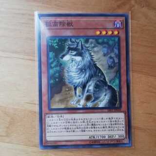 ユウ様専用 孤高除獣　儚無みずき　