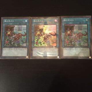 隣の芝刈り スーパーレア　3枚