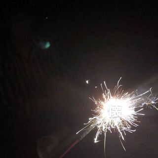 サブカルチャー様専用