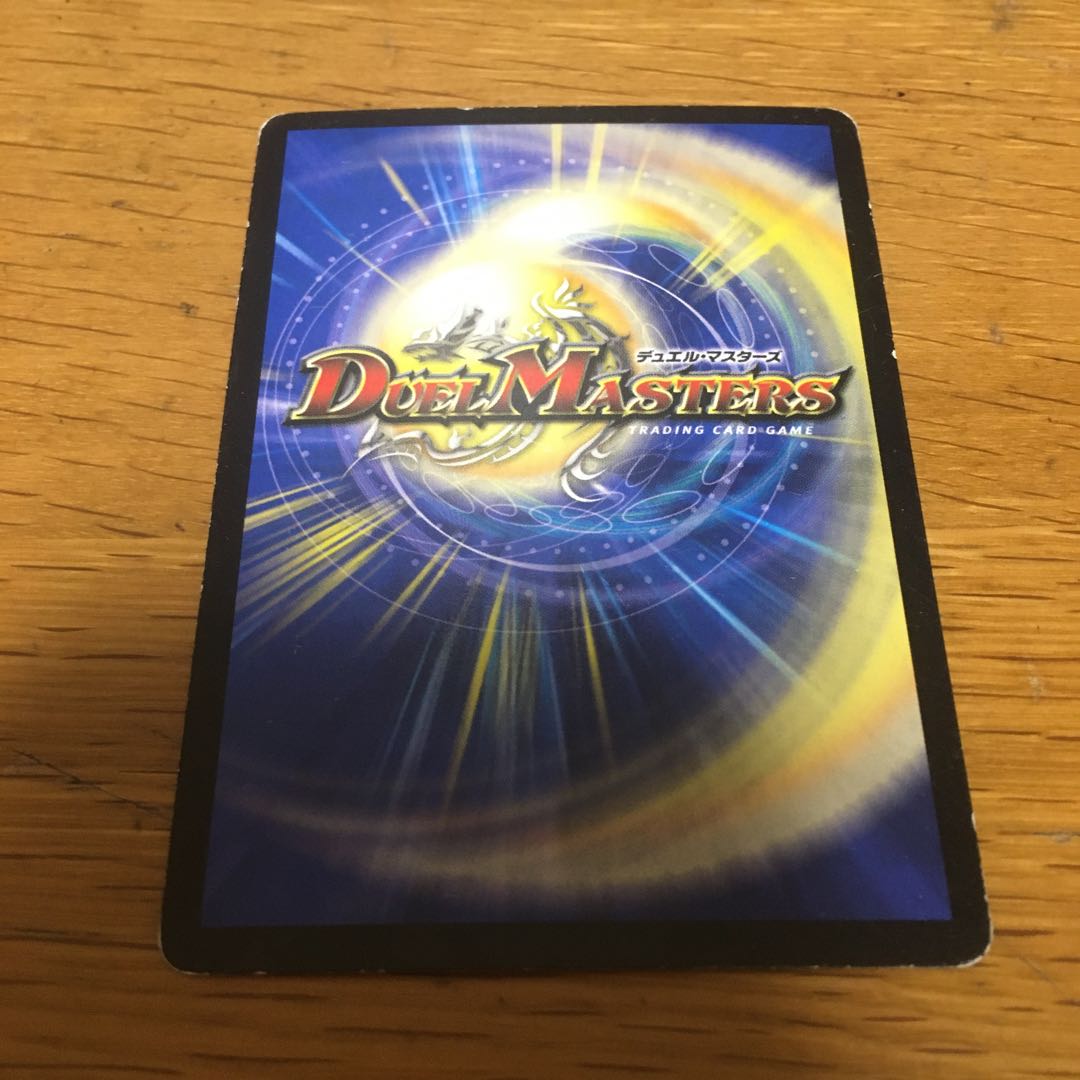 魂と記憶の盾　1枚