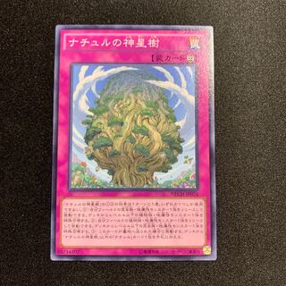 ナチュルの神星樹 ノーマル