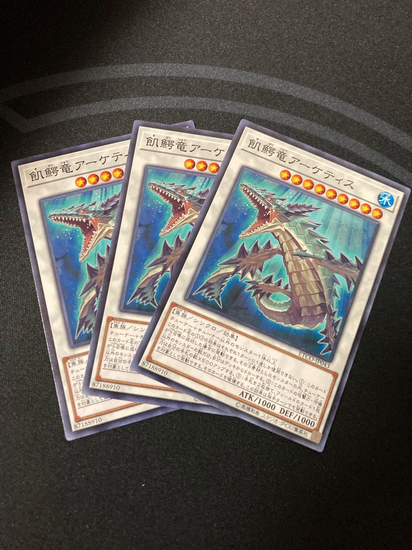 飢鰐竜アーケティス ノーマル