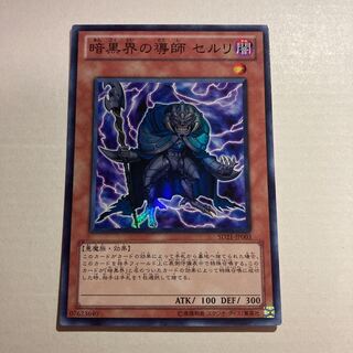 暗黒界の導師　セルリ