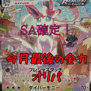 【けーた6310様専用】SA確定!? 全20口 ポケ袋