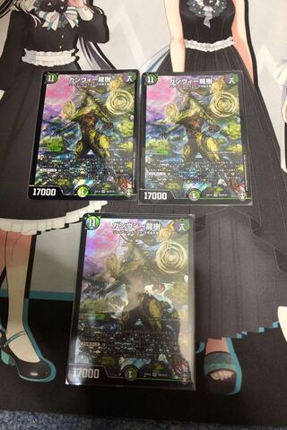 ガンヴィー龍樹3枚セット