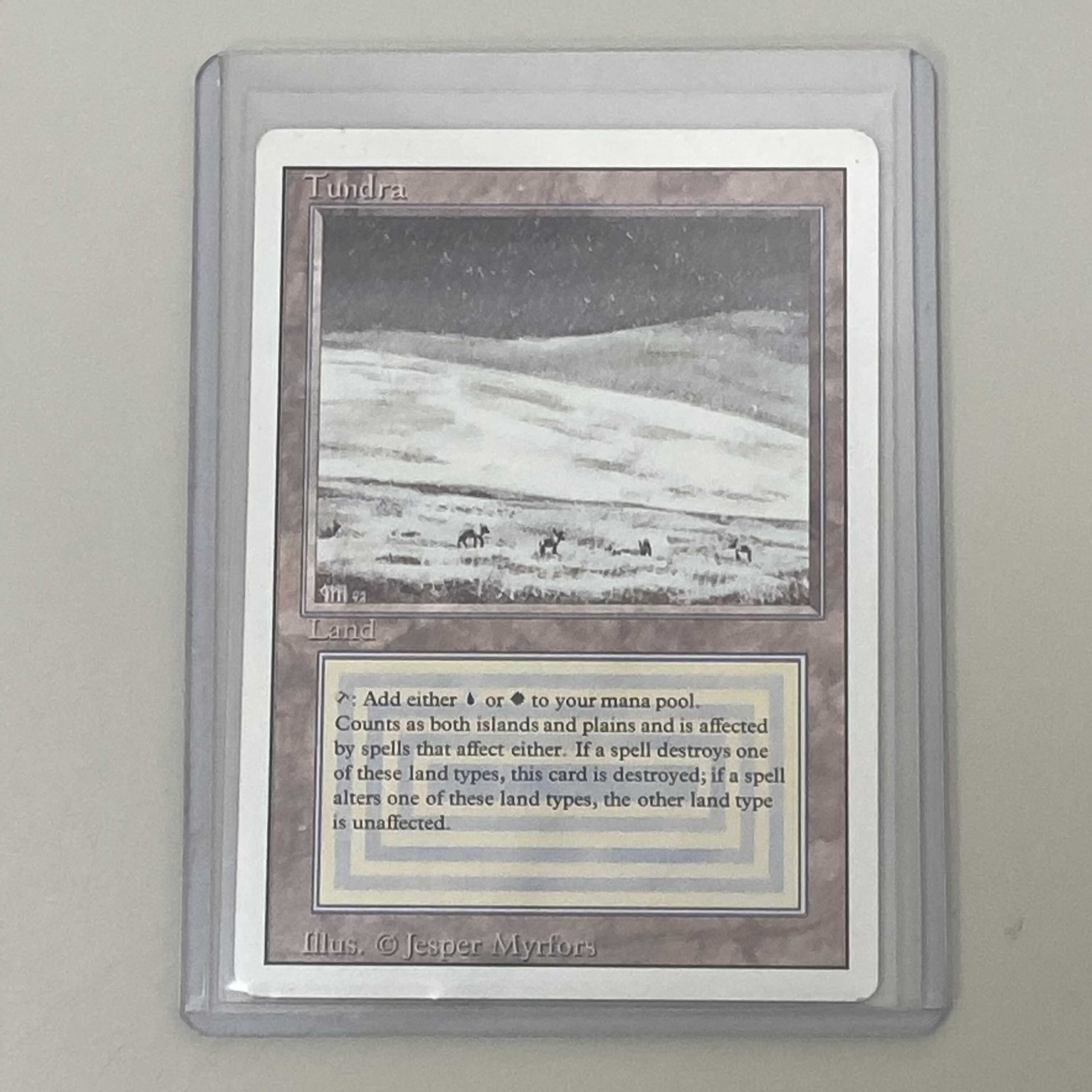 マジック・ザ・ギャザリング Tundra EN