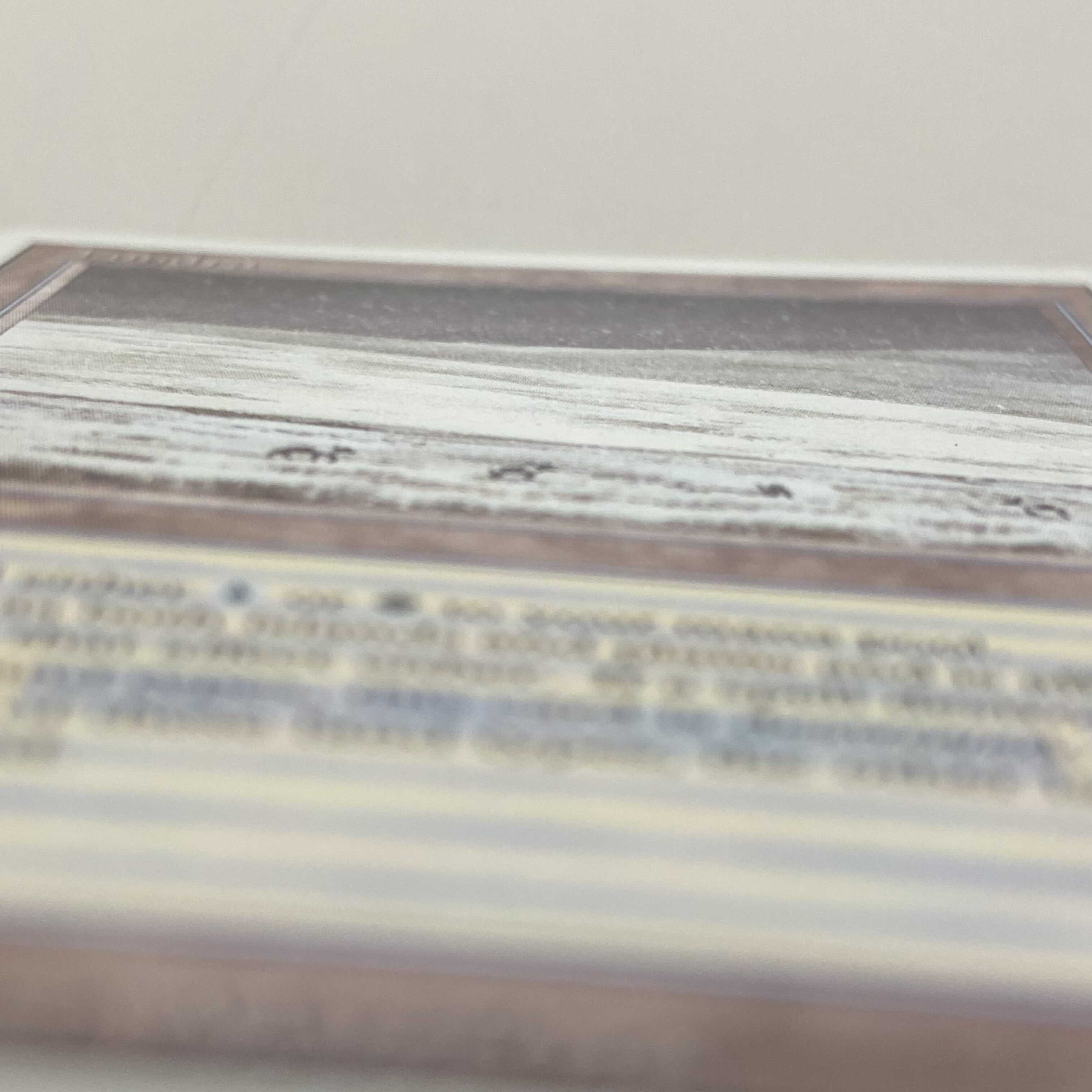 マジック・ザ・ギャザリング Tundra EN