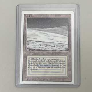 マジック・ザ・ギャザリング Tundra EN